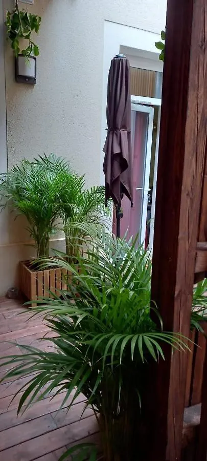 Appartement terrasse chambre jacuzzi privatif Toulouse