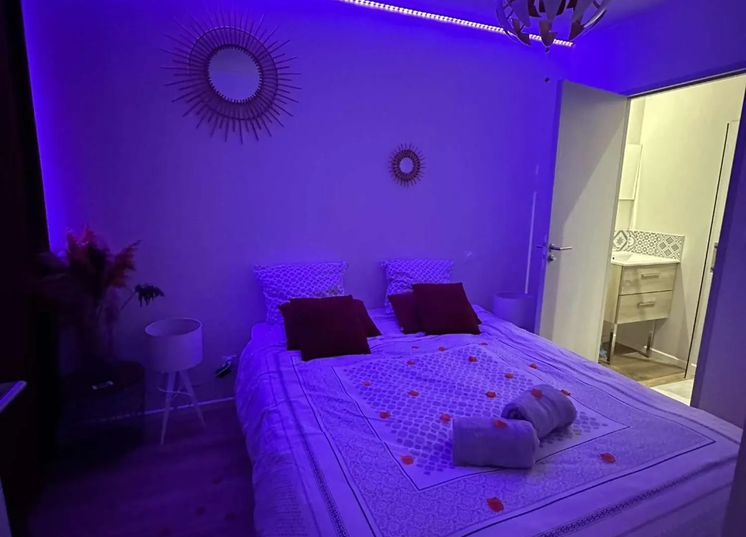 Appartement terrasse chambre jacuzzi privatif Toulouse